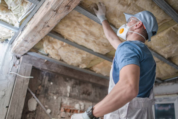 Best Insulation Inspection Services  in Bent Creek, NC