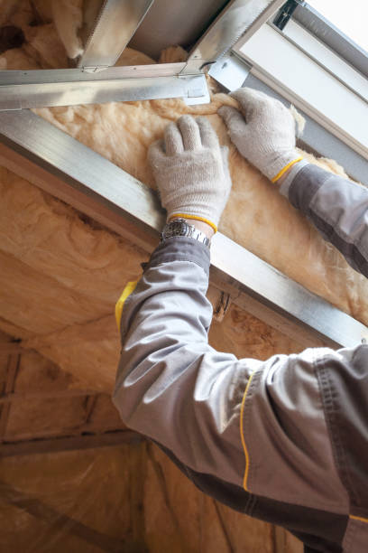 Best Insulation Replacement Services  in Bent Creek, NC