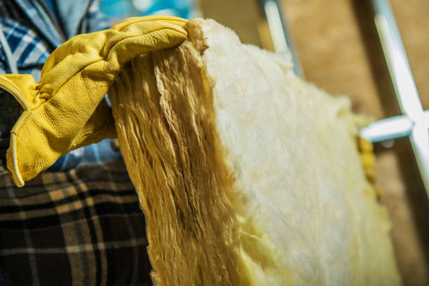 Best Insulation Removal Services  in Bent Creek, NC