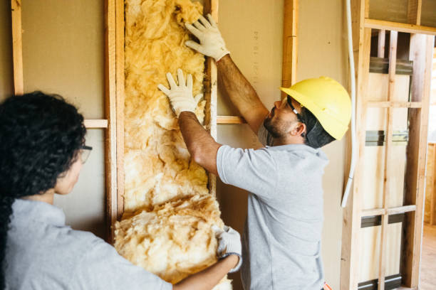 Best Best Insulation Companies  in Bent Creek, NC