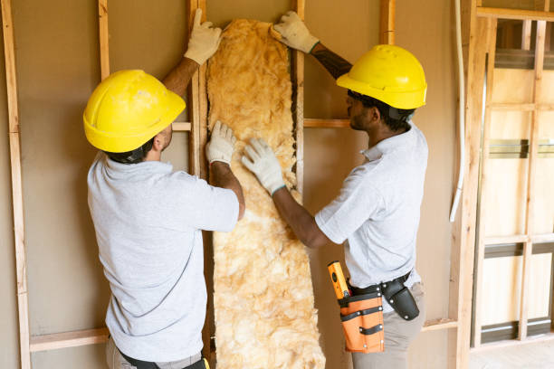Best Professional Insulation Contractor  in Bent Creek, NC